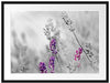 schöner Lavendel Passepartout 80x60