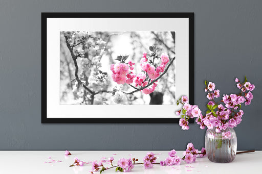 sehr schöne Kirschblüten Passepartout Wohnzimmer