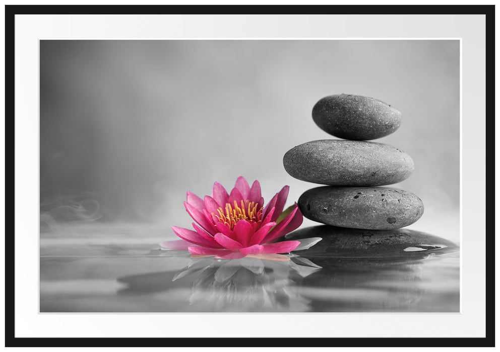 Pixxprint Seerosenblüte vor Zen Steinen, im Galerie-Passepartout Bilderrahmen