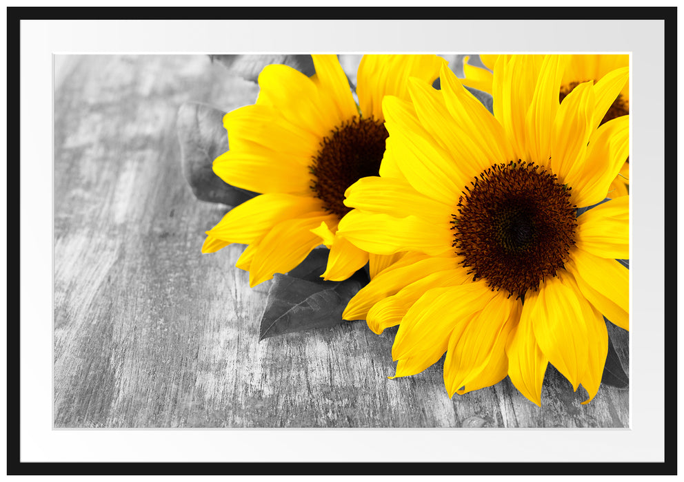 Pixxprint schöne Sonnenblumen auf Holztisch, im Galerie-Passepartout Bilderrahmen