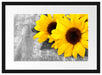 schöne Sonnenblumen auf Holztisch Passepartout 55x40