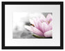 süße Biene auf Seerosenblüte Passepartout 38x30