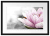 süße Biene auf Seerosenblüte Passepartout 55x40