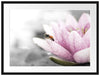 süße Biene auf Seerosenblüte Passepartout 80x60