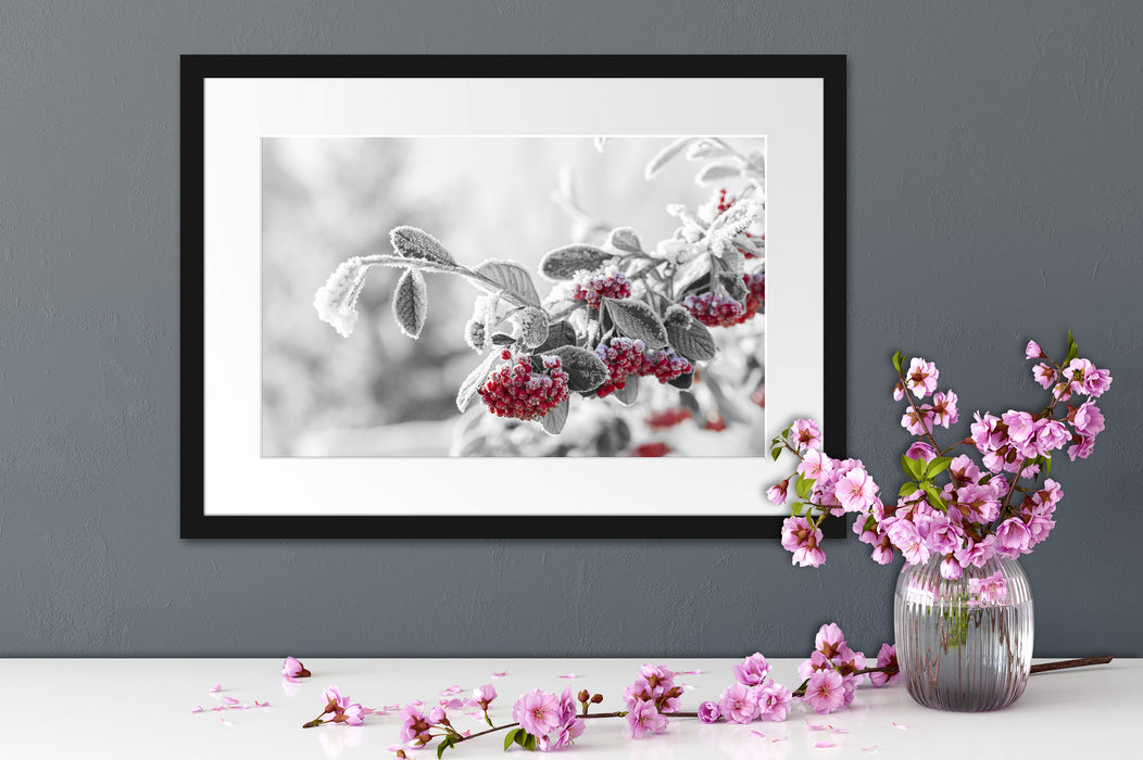 Vogelbeeren im frostigen Winter Passepartout Wohnzimmer