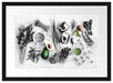 Gemüse und Obst Vielfalt Passepartout 55x40