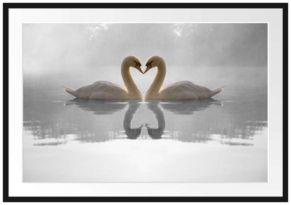Pixxprint verliebte Schwäne auf See, im Galerie-Passepartout Bilderrahmen