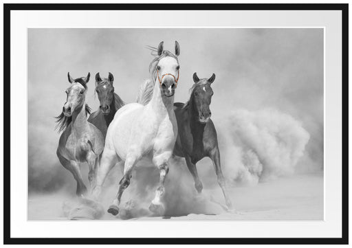 Mustangs ausgelassen in der Wüste Passepartout 100x70