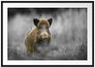 einsames Wildschwein im Wald Passepartout 100x70