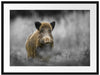 einsames Wildschwein im Wald Passepartout 80x60
