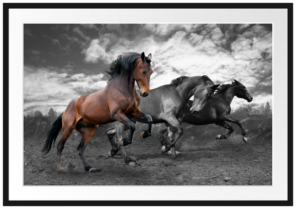 Pixxprint Schöne Wildpferde, im Galerie-Passepartout Bilderrahmen