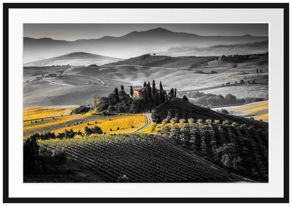 Toskana Landschaft mit Feldern Passepartout 100x70