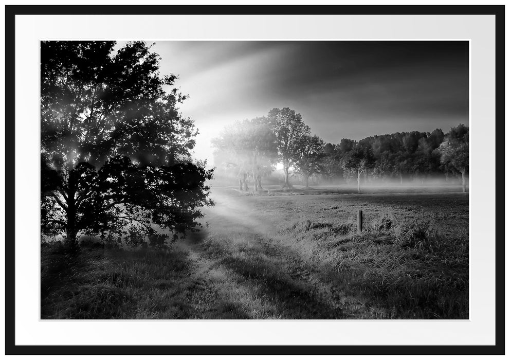 Pixxprint schöne Lichtung im Wald, im Galerie-Passepartout Bilderrahmen