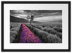 Lavendelfeld mit Baum Passepartout 55x40