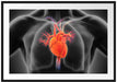 Herzkreislauf des Menschen Passepartout 100x70