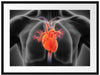Herzkreislauf des Menschen Passepartout 80x60