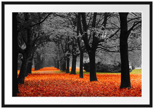 schöner Waldweg im Herbst Passepartout 100x70