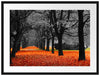schöner Waldweg im Herbst Passepartout 80x60