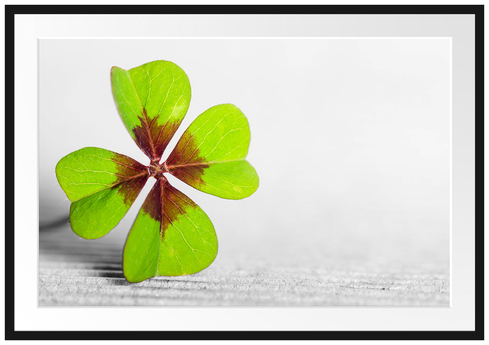 Pixxprint Kleeblatt Glücksklee, im Galerie-Passepartout Bilderrahmen