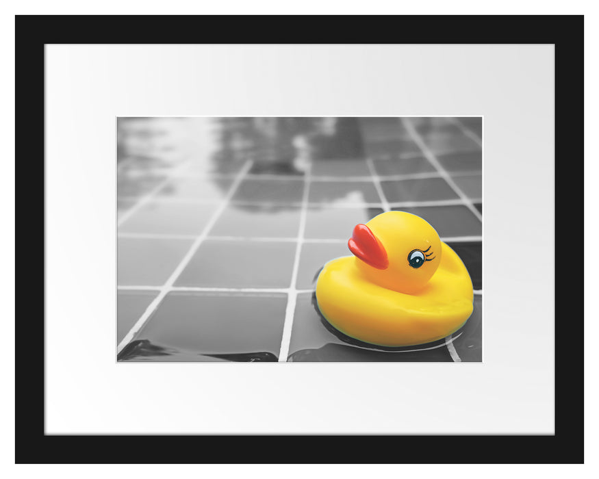 Quietsche Ente im Wasser Passepartout 38x30