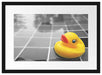 Quietsche Ente im Wasser Passepartout 55x40