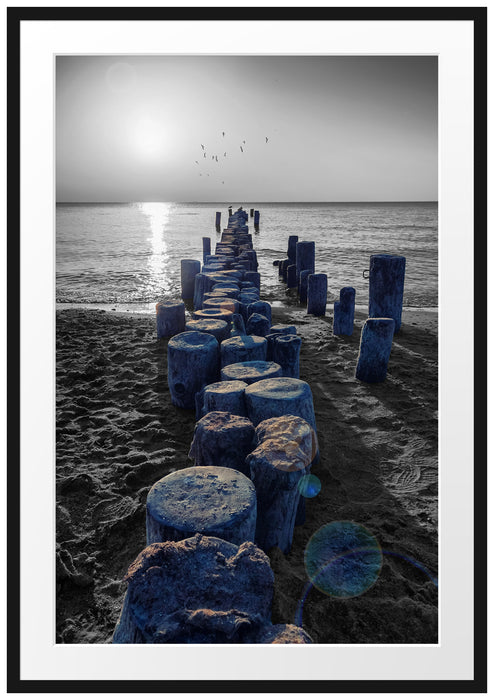 Pixxprint einzigartige Baumstümpfe am Meer, im Galerie-Passepartout Bilderrahmen