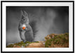 süßes Eichhörnchen mit Nuss Passepartout 100x70