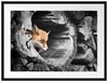 schöner Fuchs im Baumstamm Passepartout 80x60