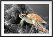 wunderschöne Meeresschildkröte Passepartout 100x70