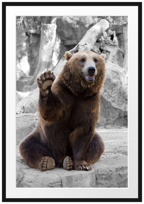 Pixxprint dicker Bär sagt Hallo, im Galerie-Passepartout Bilderrahmen