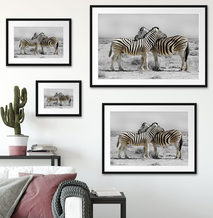 Zebras in der Savanne Passepartout Dekovorschlag
