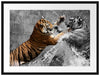 prachtvolle Tiger kämpfen Passepartout 80x60