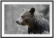 einsamer Bär im Wald Passepartout 100x70