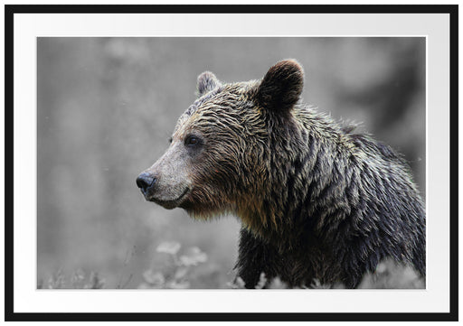 einsamer Bär im Wald Passepartout 100x70