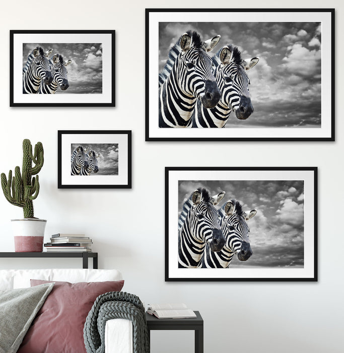 zwei Zebras Passepartout Dekovorschlag