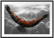 anmutiger Adler über den Wolken Passepartout 100x70