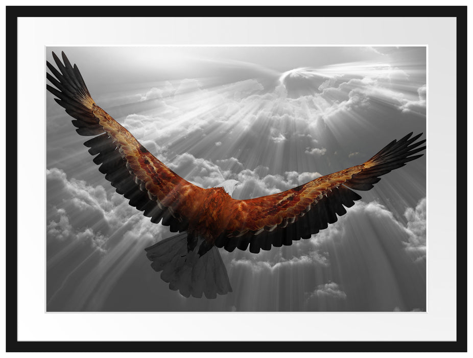 anmutiger Adler über den Wolken Passepartout 80x60