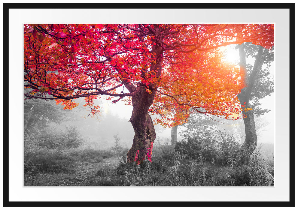 Pixxprint Zauberhafte Waldlandschaft, im Galerie-Passepartout Bilderrahmen