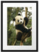 niedlicher Pandabär auf Baum Passepartout 55x40