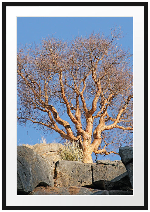 Pixxprint einsamer Baum im Gebirge, im Galerie-Passepartout Bilderrahmen