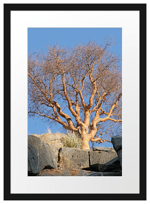 einsamer Baum im Gebirge Passepartout 55x40