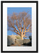 einsamer Baum im Gebirge Passepartout 55x40