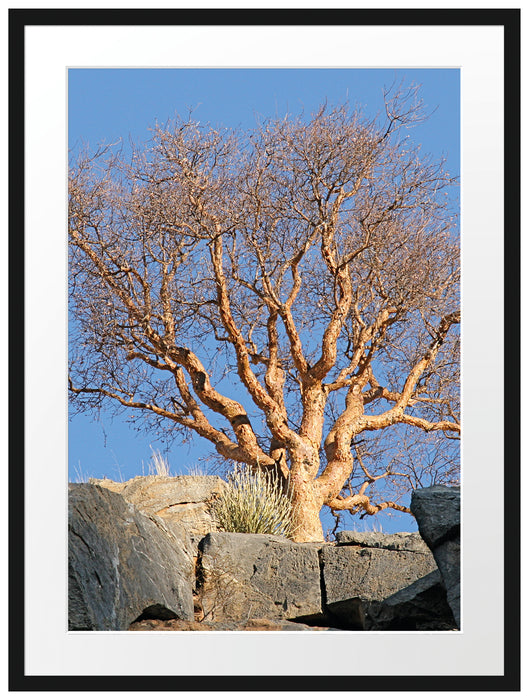 einsamer Baum im Gebirge Passepartout 80x60