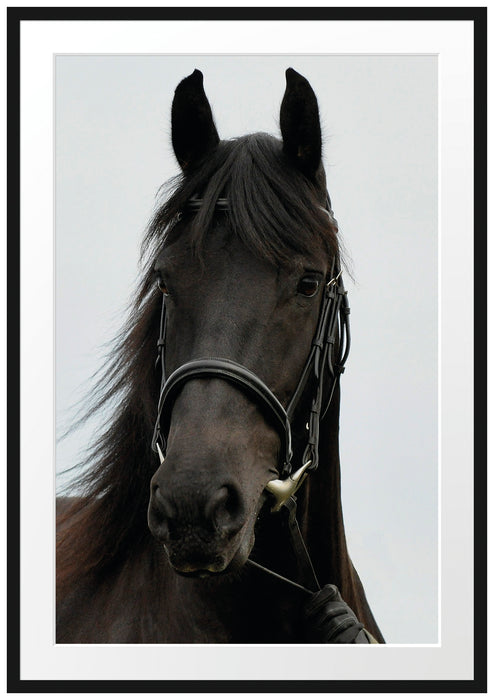 Pixxprint braunes Pferd, im Galerie-Passepartout Bilderrahmen