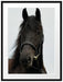 braunes Pferd Passepartout 80x60
