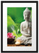 Seerose Buddha Statue Passepartout 55x40