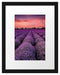Wunderschöne Lavendel Provence Passepartout 38x30