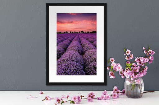 Wunderschöne Lavendel Provence Passepartout Wohnzimmer