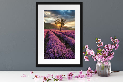 Lavendel Provence mit Baum Passepartout Wohnzimmer