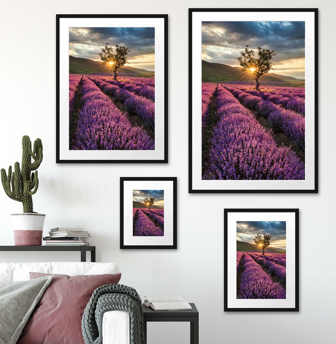 Lavendel Provence mit Baum Passepartout Dekovorschlag
